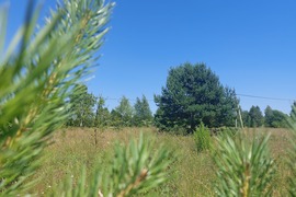 Участок 15 соток