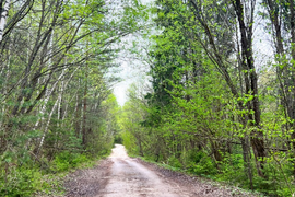 Участок 30 сот. ЛПХ