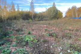 Участок 11 сот. (ИЖС)