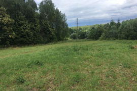 Участок с.Ферзиково