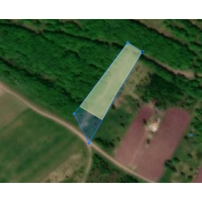 Участок 30 сот. (ЛПХ)