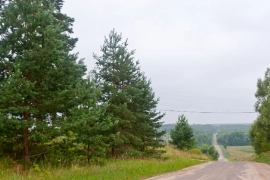 Участок д.Гордиково