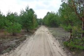 Участок д.Вольня в лесу.