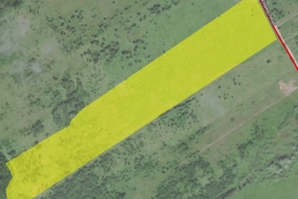 12 га в д. Бабичево