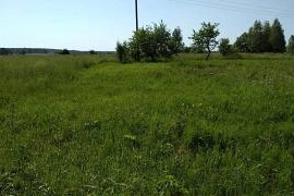  Участок 235.93 га (СНТ, ДНП)