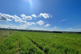 72 га под эко поселок