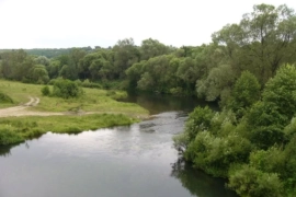 36 сот д.Грива