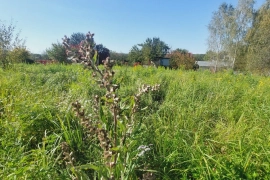 Участок 7,2 сотки.