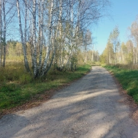 Участок 15 соток