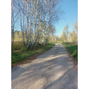 Участок 15 соток